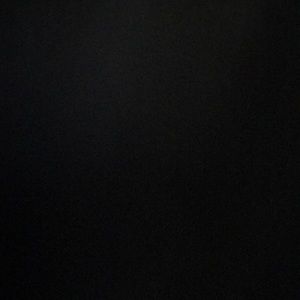 Meet your Posher, Bridgette